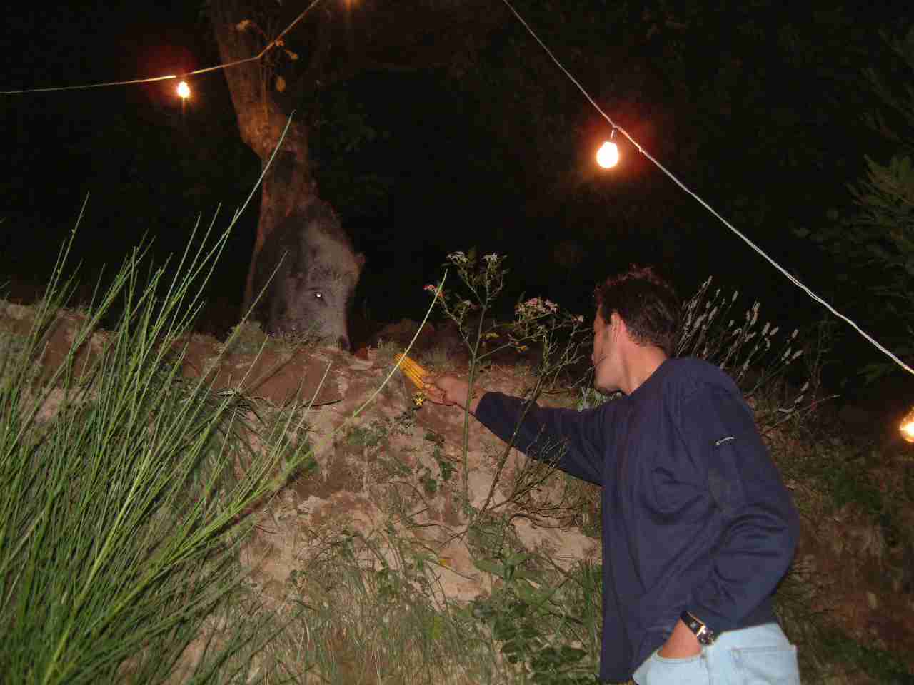  Image name: DSCF0056.JPG 
 width: 1280 pixel 
 height: 960 pixel 
 Size: 60542 bytes 
 Click to enlarge 